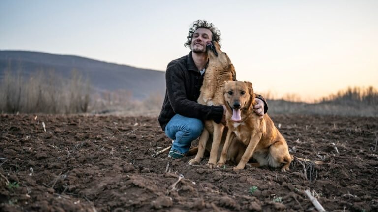 Attenzione agli abbracci: il vostro cane potrebbe non amarli tanto quanto pensate