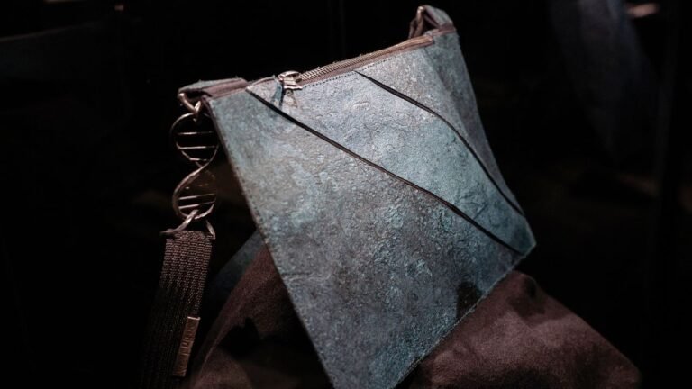 Qualcuno vuole una borsa in pelle di Tyrannosaurus Rex? A quanto pare, no